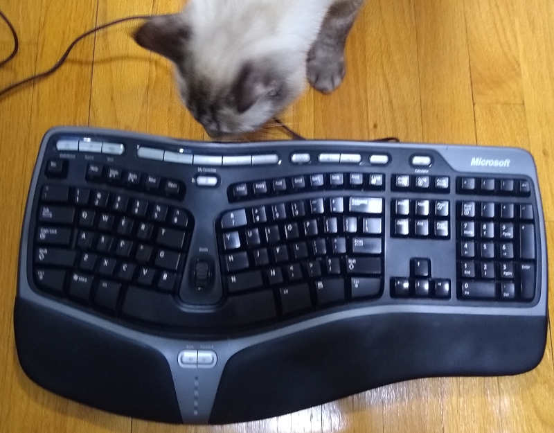 keyboard